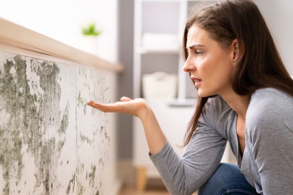  Pintura resistente para áreas húmedas: recomendaciones y mantenimiento 