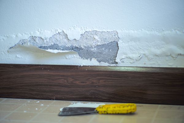 7 señales de humedad en una pared que debes identificar antes de pintar