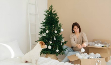C&oacute;mo refrescar tu hogar despu&eacute;s de Navidad para recibir el A&ntilde;o Nuevo