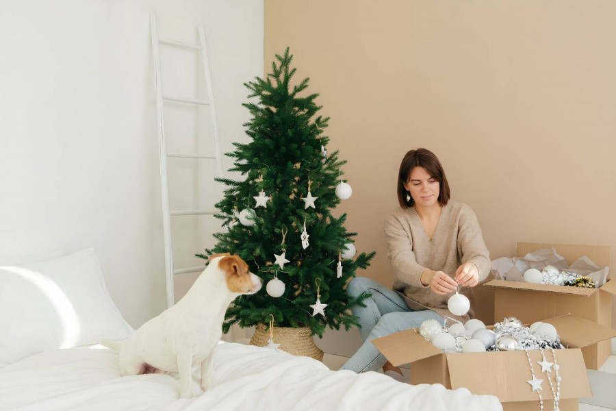C&oacute;mo refrescar tu hogar despu&eacute;s de Navidad para recibir el A&ntilde;o Nuevo