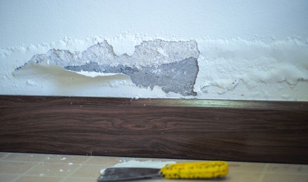 7 se&ntilde;ales de humedad en una pared que debes identificar antes de pintar